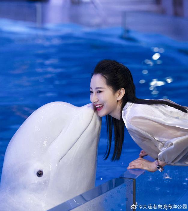 海滩再现绝美荧光海宛如蓝色星河,成都荧光海滩