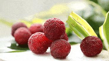 这座被央视挖掘的江南小城，比乌镇古朴，比苏杭好吃