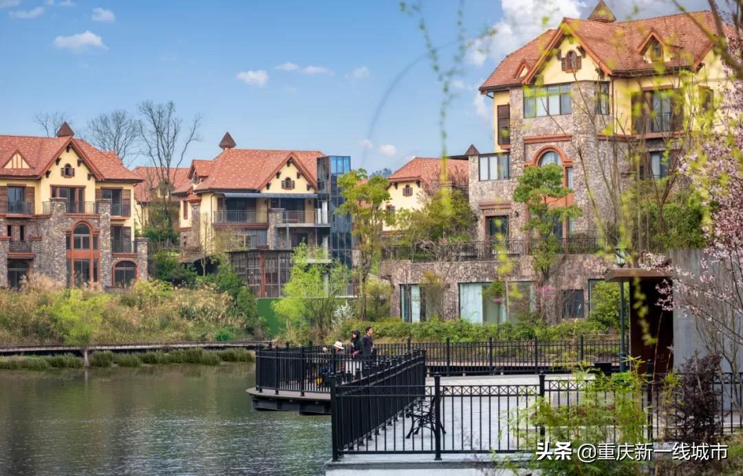 闇嶆牸娌冨吂鍩庡牎鍒,璐甸槼闇嶆牸娌冭尐鍩庡牎