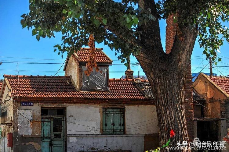 烟台所城里承载着多少回忆,烟台所城的来历