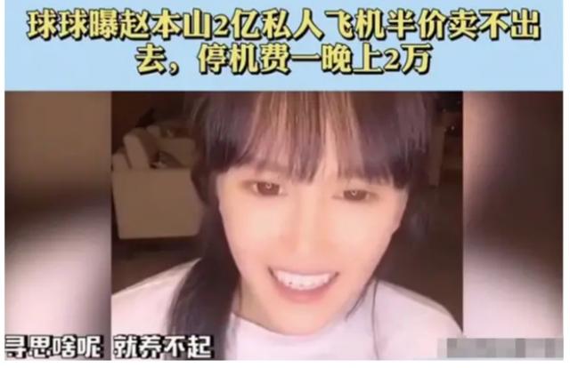 赵本山的私人飞机一年的费用多少 (赵本山私人飞机价值)