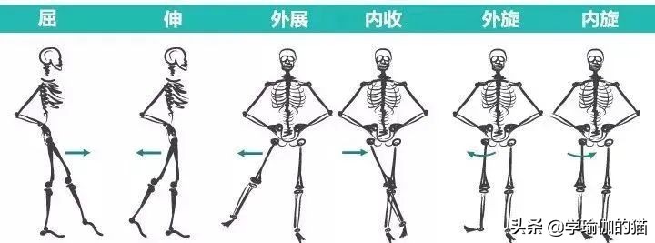 瑜伽竖叉胯不正怎么办,为什么练瑜伽会变成骨盆后倾