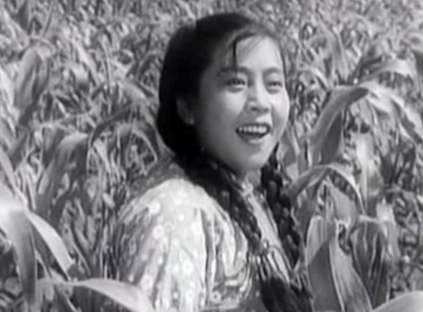 最伟大卫生巾发明,卫生巾是最伟大的女性发明吗