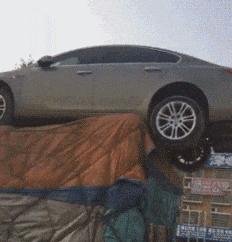 在野外发现甘蔗,在山里发现甘蔗