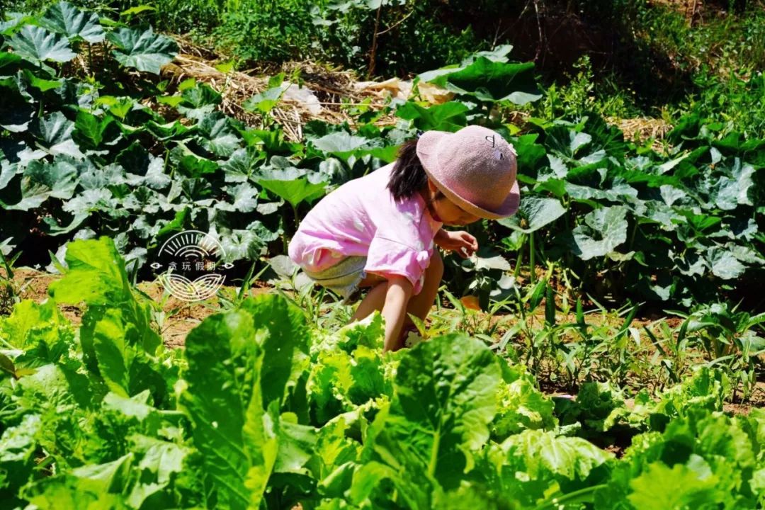 桃源溪谷哪里好玩,桃源溪谷一日游
