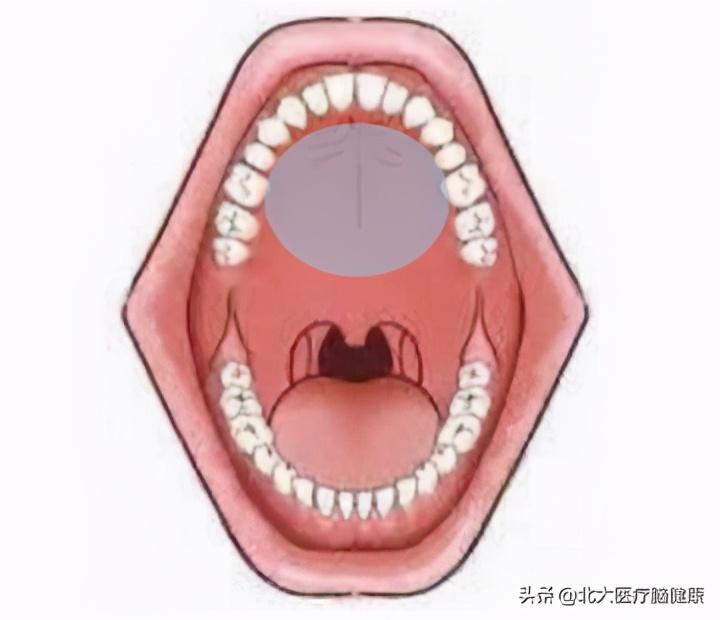 孩子发音不清楚的训练方法视频,一年级前后鼻音发音分不清怎么办