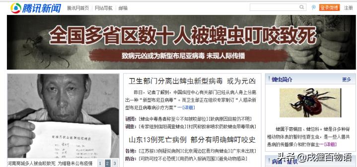 夏季炎热,狗狗便血而亡,元凶藏在这里!你家狗也会有