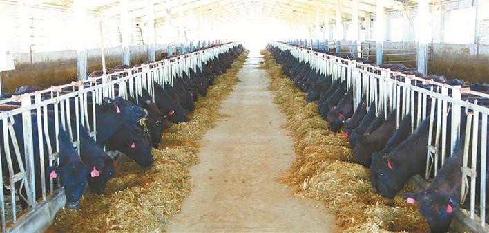 河南牧业改名吗,郑州河南牧业经济学院有用吗