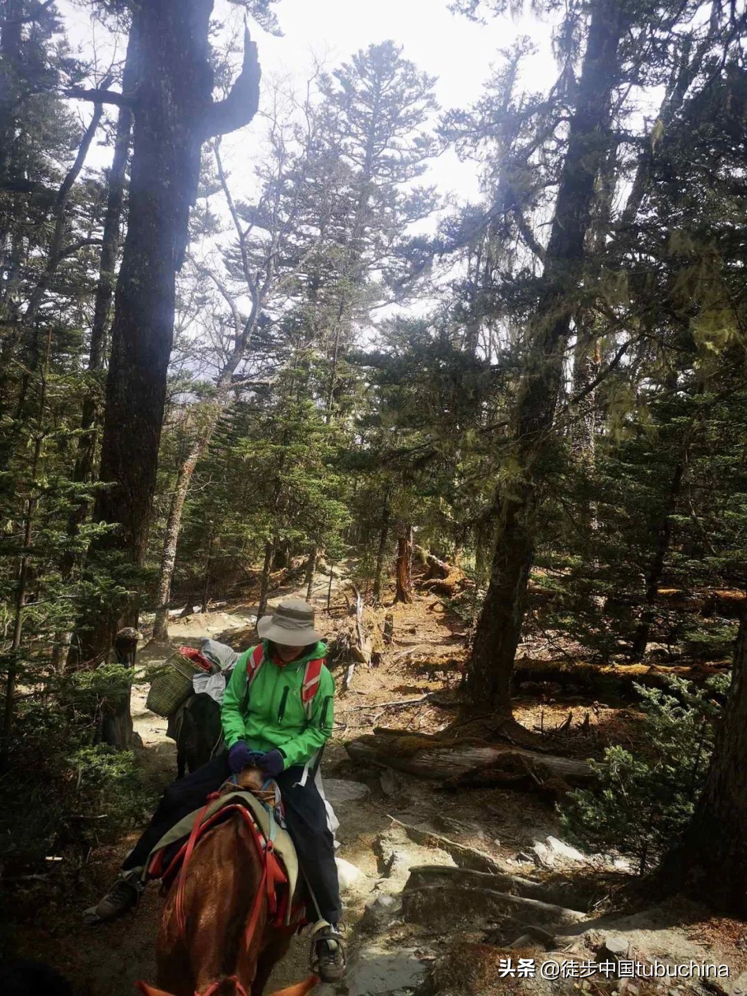 给我一个机会去爱你,给我一个机会让我去爱你