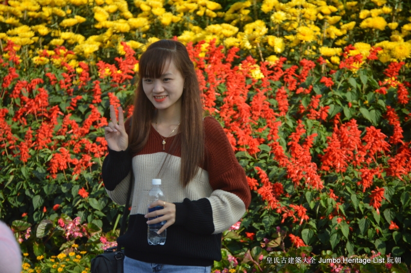 第178回:废除汉字文化脱节,割断毁弃历史根脉