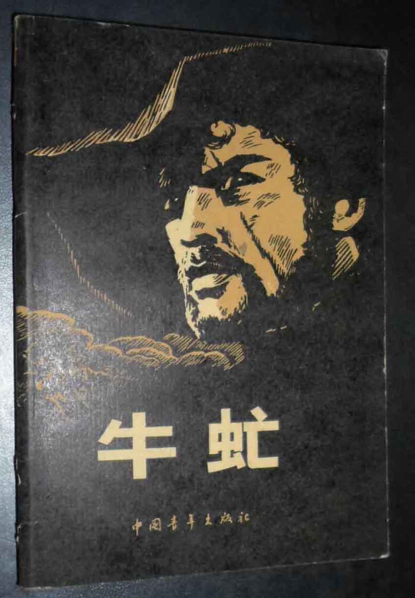 看着像个大苍蝇，叮马叮牛还叮人，晒干就是好药材，小记牛虻