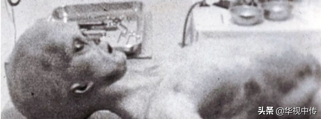 51区有哪些绝密飞行器,美国空军51区真的有外星人吗