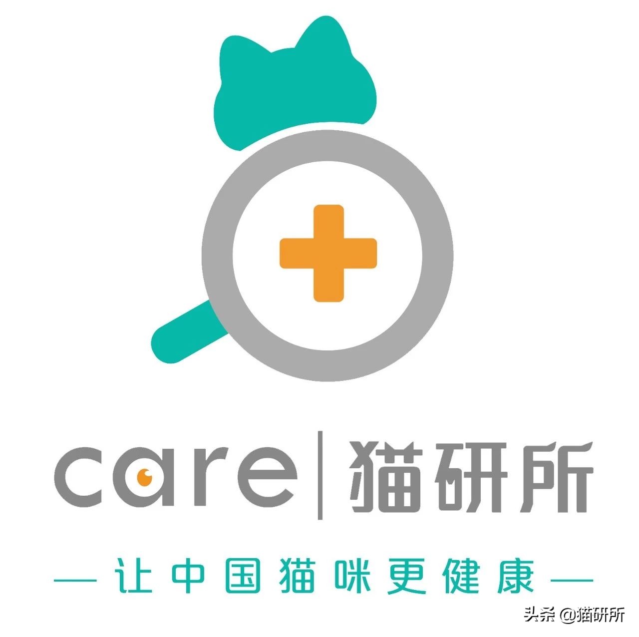 为什么猫咪捕猎尾巴一直动,猫老是追尾巴跑