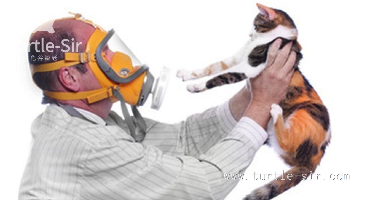 家里一般养乌龟多还是养老鳖多,老一辈为什么说养乌龟不好