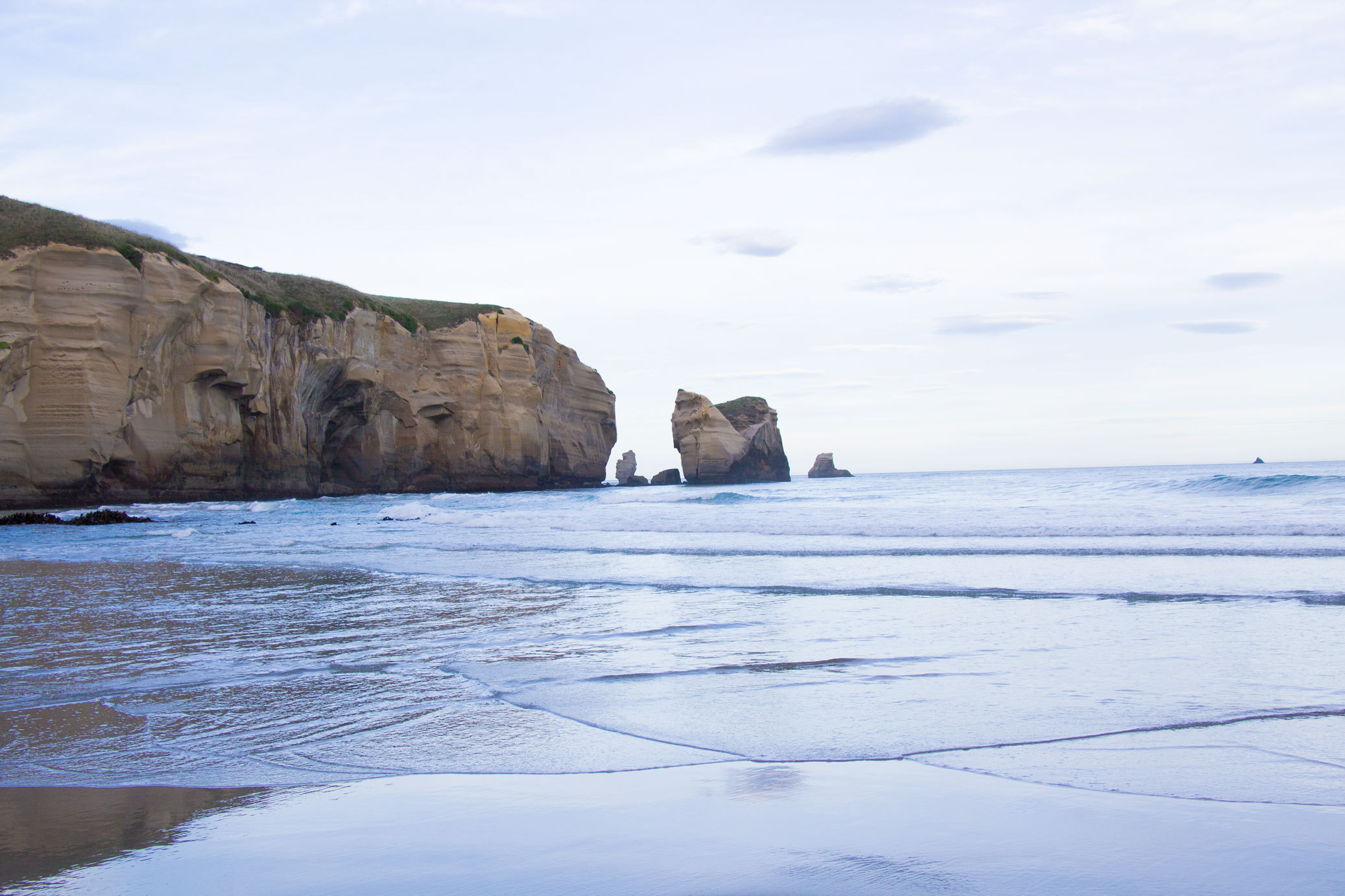 新西兰旅游必备大牌礼物,新西兰旅行攻略完整详细版