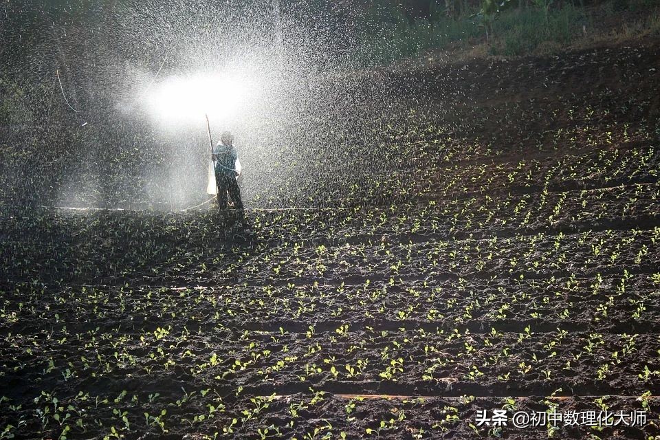 初三化学化肥的鉴别,初中化学化肥鉴别题方法