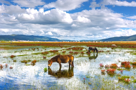 邂逅香格里拉虎跳峡,云南香格里拉春节旅游推荐