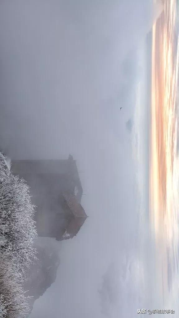 泰山美图100张,泰山云海美图