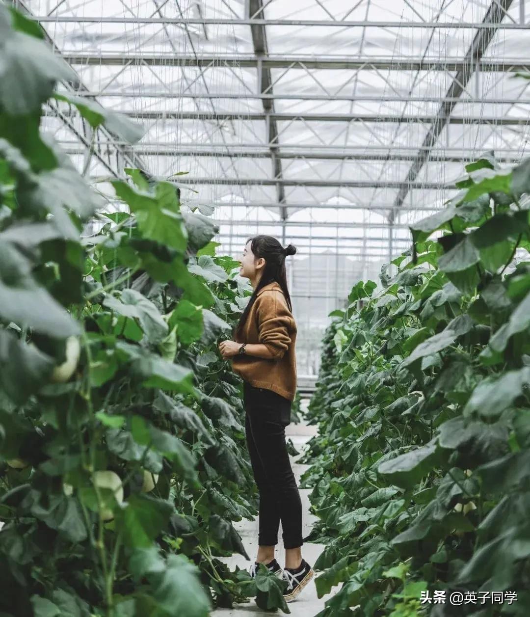 南昌生态谷智慧农场采摘,南昌亲子采摘踏青