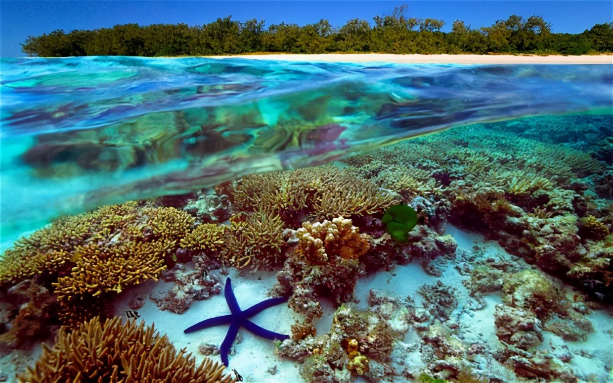 世界前五百强职业招聘广告,世界上最伟大的招聘广告