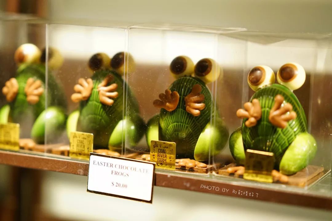 去哪里旅游可以看南极企鹅,旅游攻略南极看企鹅