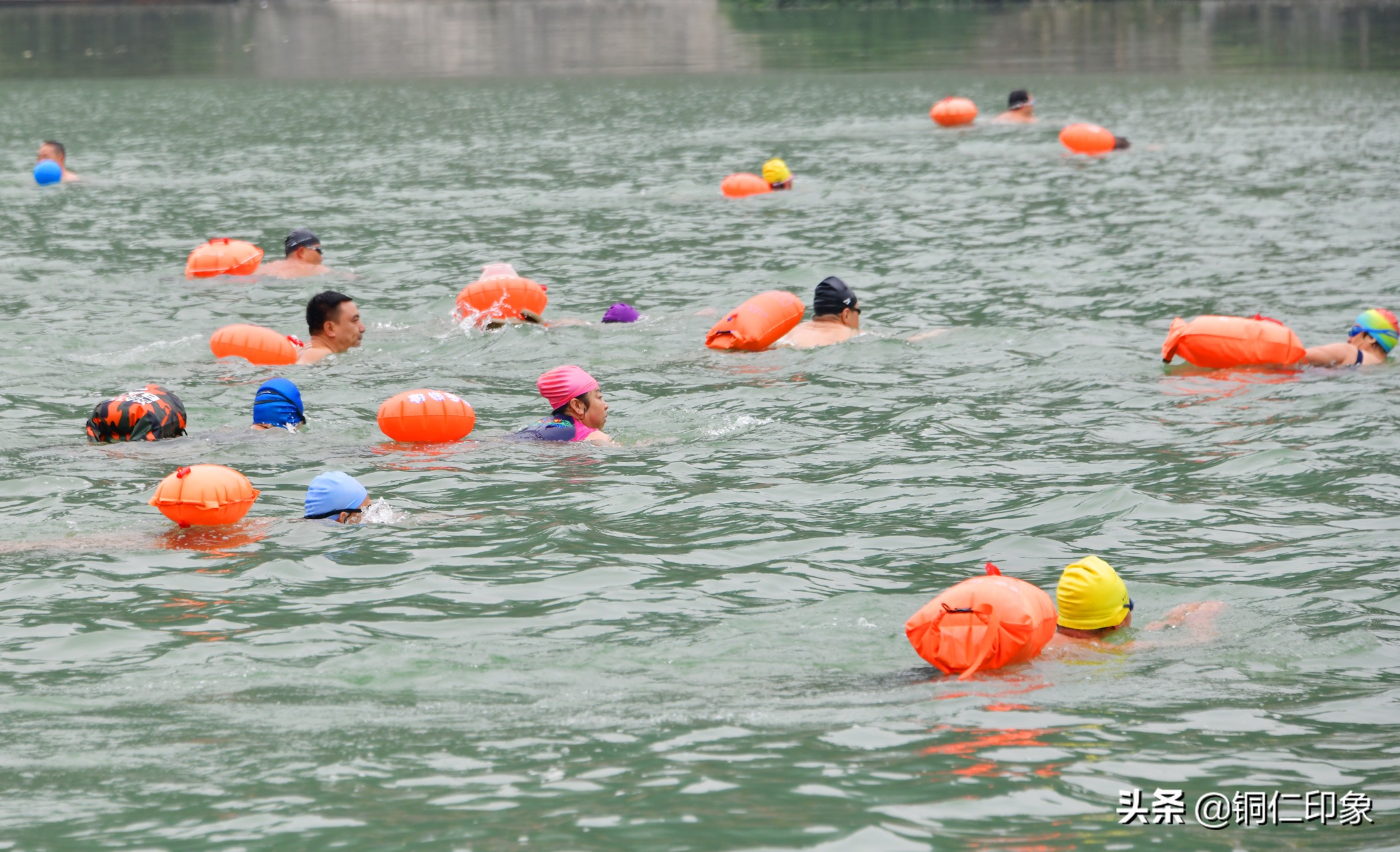 铜仁市游泳协会,2023年铜仁市运动会游泳比赛