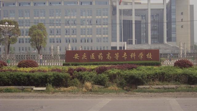 专升本合肥幼儿师范学校,安徽专升本幼师学校