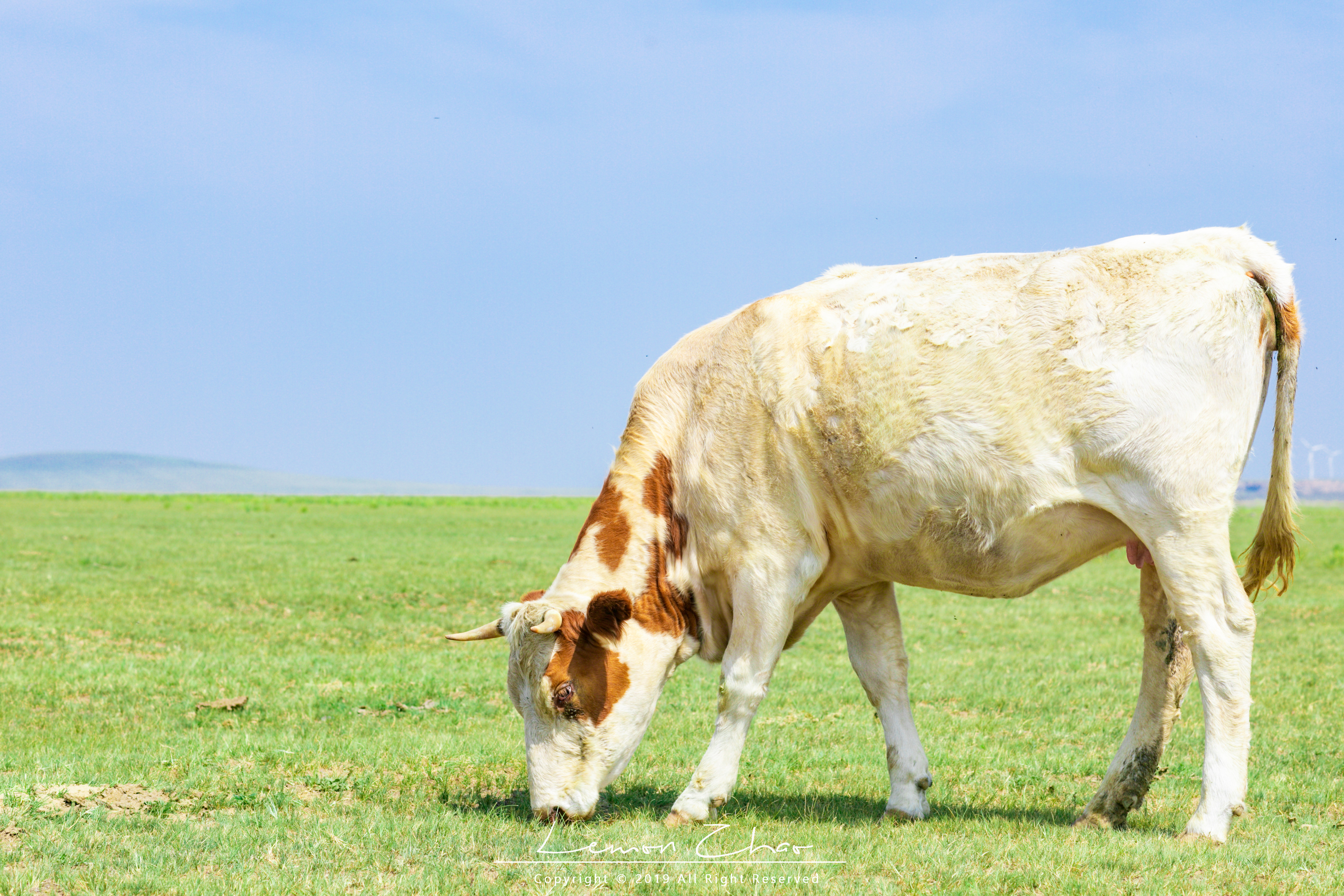 藏南地区贫穷吗,藏西以前是什么样的