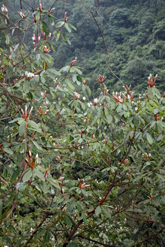 神龙峡：幽谷深深隐桃源