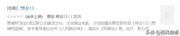 东野圭吾被翻拍过的影视剧,东野圭吾翻拍的电影哪些好看