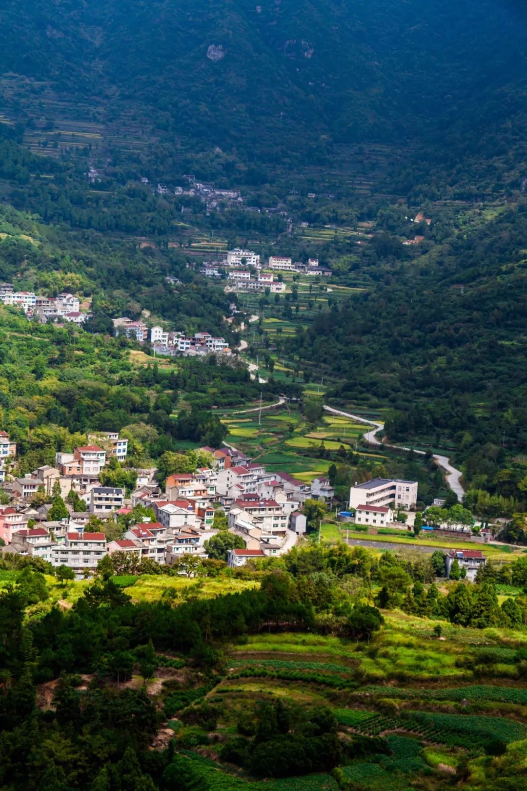 什么是台州畅行码,什么是台州