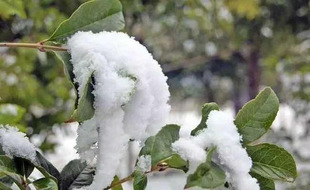 西宁这座城市繁华吗,西宁是怎样一座城