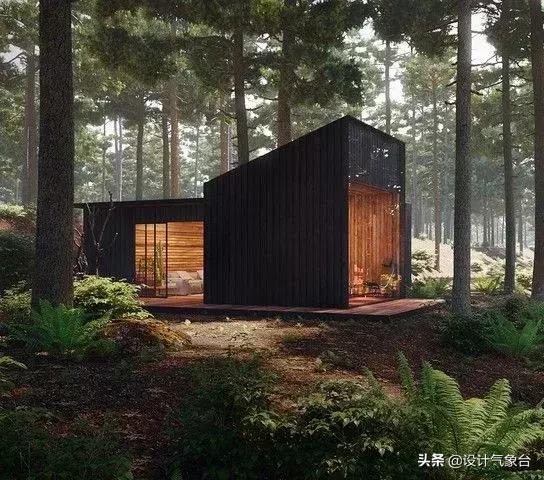 4000美金图片,五万美元效果图