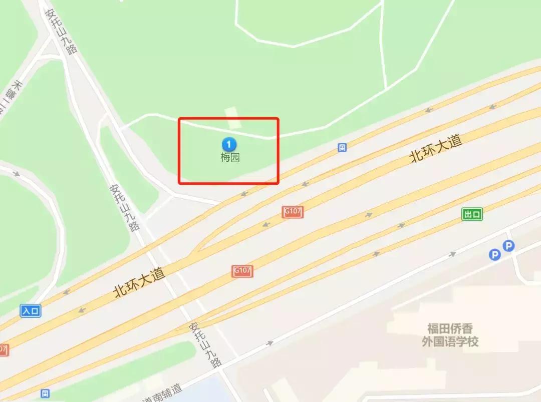 深圳隐秘风景,深圳粉色花海视频