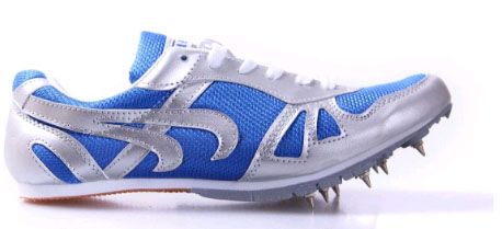 踏破铁鞋无觅处图片,踏破铁鞋无觅处读音