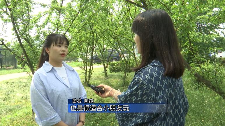 金鸡农庄五一,金鸡农庄一日游价格表