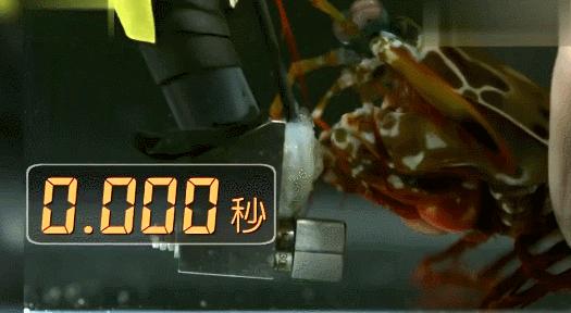 拳王二秒打出12拳,拳王一秒打五拳