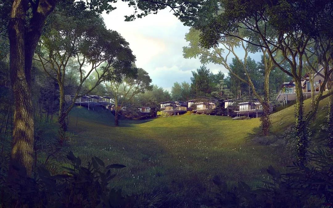 绿城桃花源的特点,绿城桃花源未来山