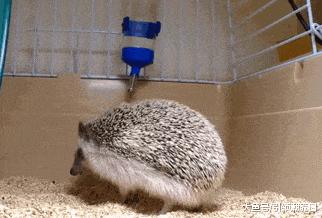 搞笑gif开心一刻快乐不分年龄,搞笑gif开心一刻动图