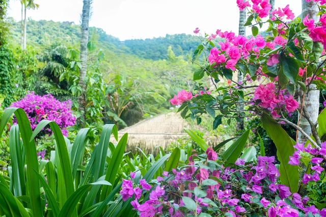海南最美海湾石梅湾,海南最美的8大海湾