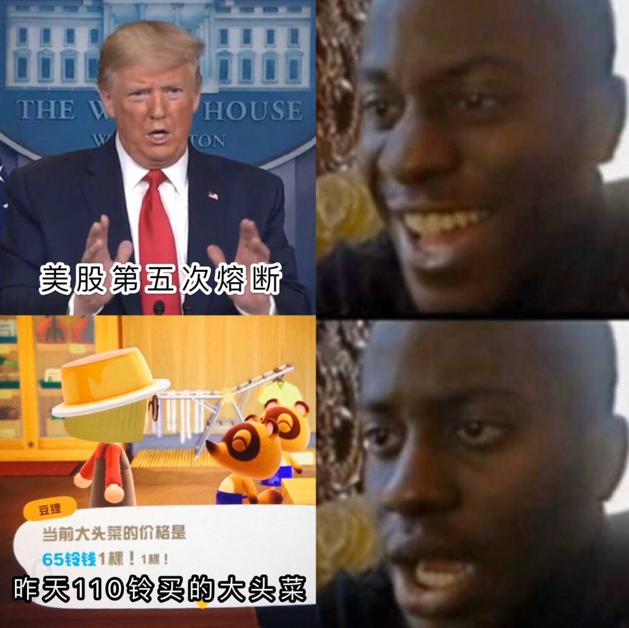 当你玩动森第一天,动森当单机玩好玩吗