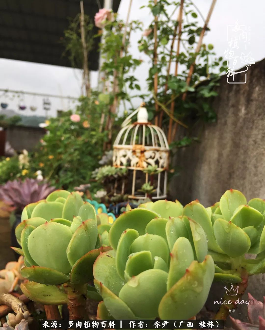 听到秋天的声音,听到了秋天的声音