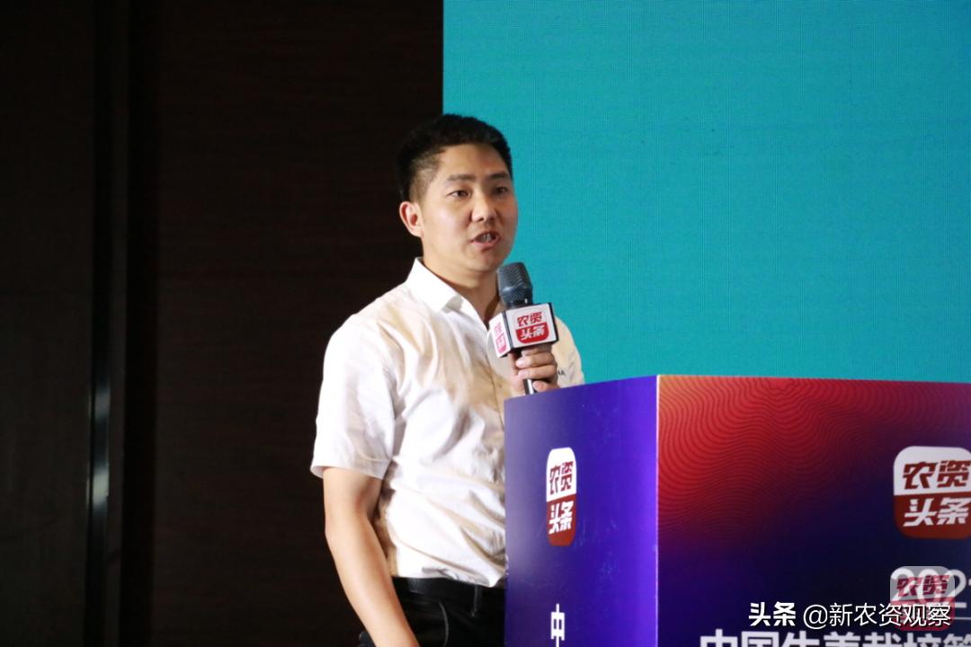 生姜栽培管理新技术,中国生姜栽培管理技术峰会