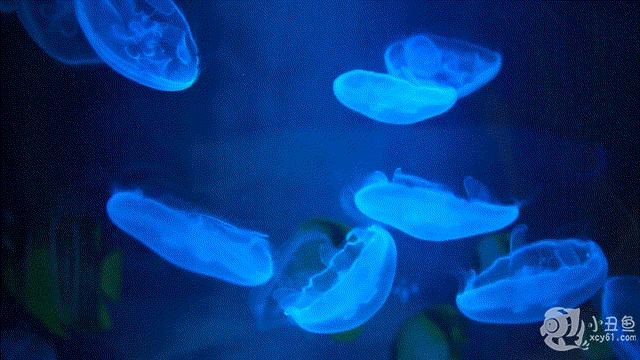 儿童玩的遛娃好去处,有动物的溜娃好去处