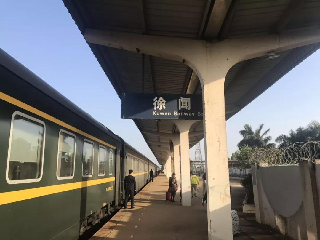 徐闻菠萝与武汉菠萝区别,徐闻菠萝跟普通菠萝的区别