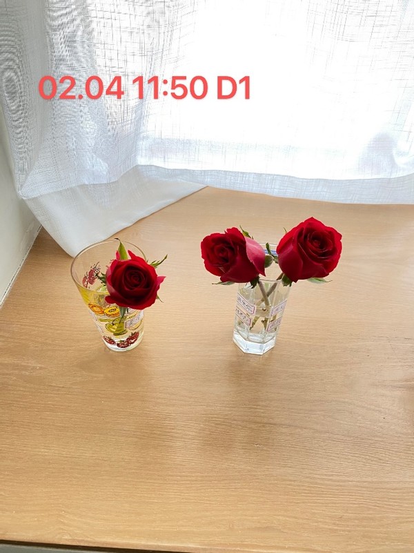 无形决定有形的说法,无形决定有形