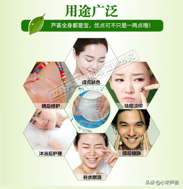 什么是库拉索芦荟？干嘛用的？