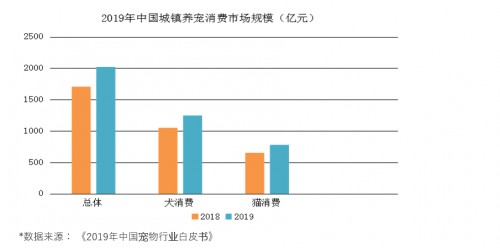 站在风口上的猪都能飞上天,站在风口上的猪也能飞起来