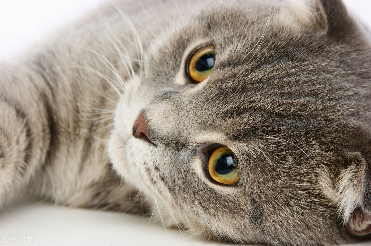 适合普通人的副业赚钱方式有哪些,2个适合普通上班族赚钱的副业