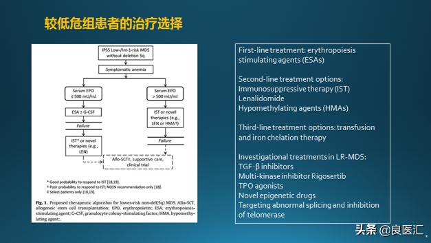 尿多酸肽(喜滴克)为低中危MDS患者开辟治疗新道路